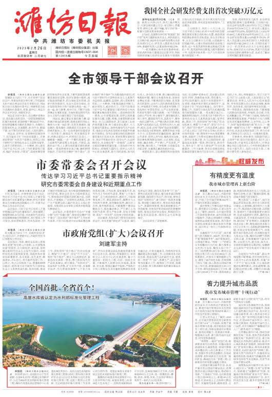 ****处理标记：[page]时， 字段 [] 在数据源中没有找到! ****