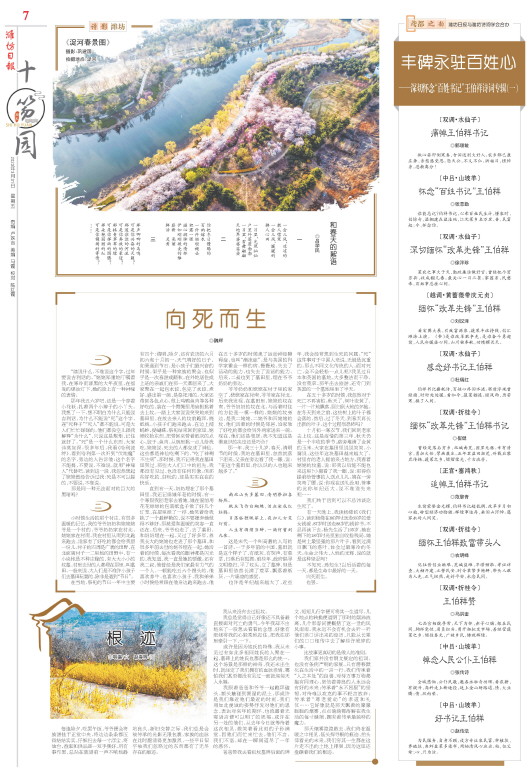 ****处理标记：[page]时， 字段 [] 在数据源中没有找到! ****