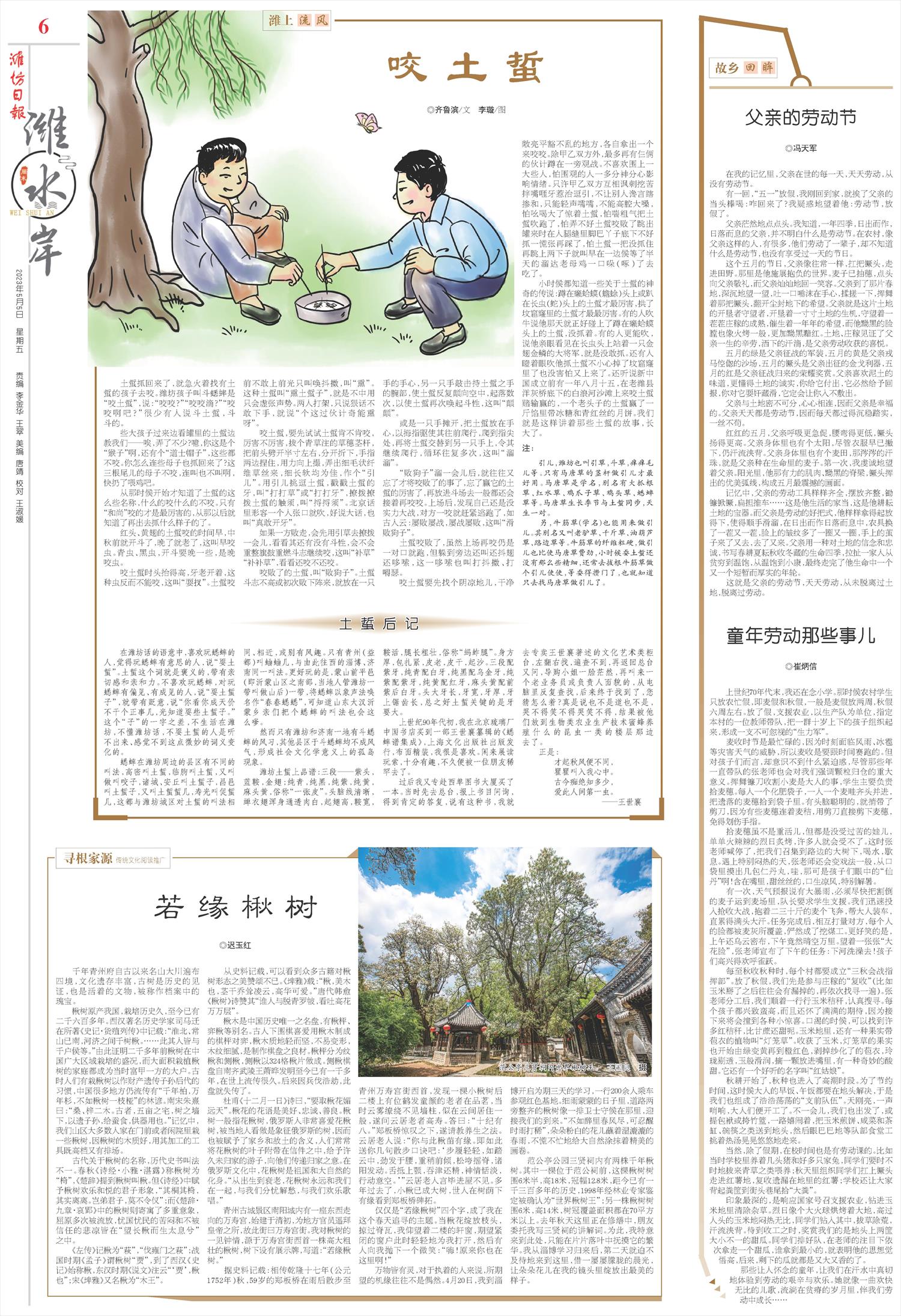 ****处理标记：[page]时， 字段 [] 在数据源中没有找到! ****