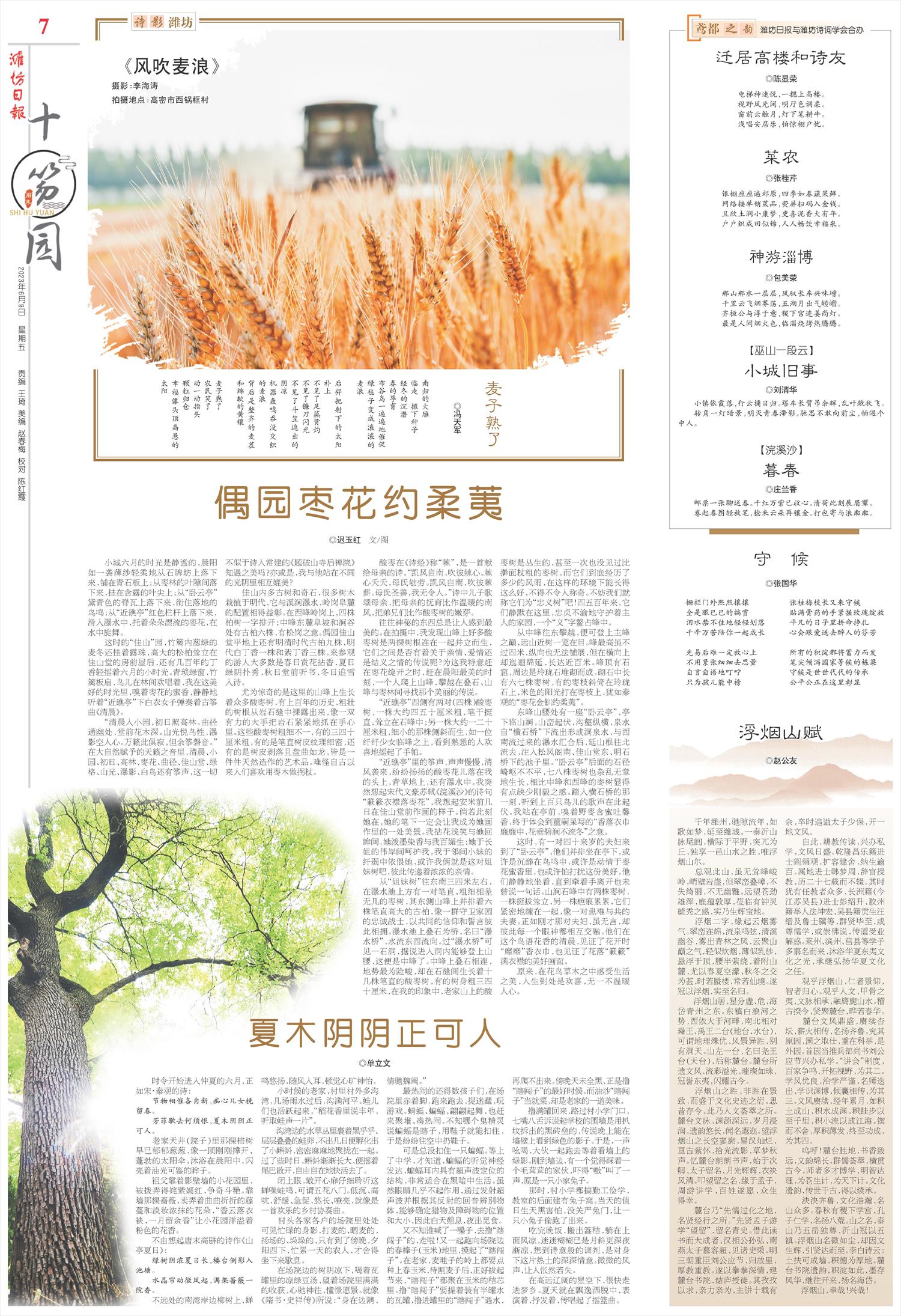 ****处理标记：[page]时， 字段 [] 在数据源中没有找到! ****