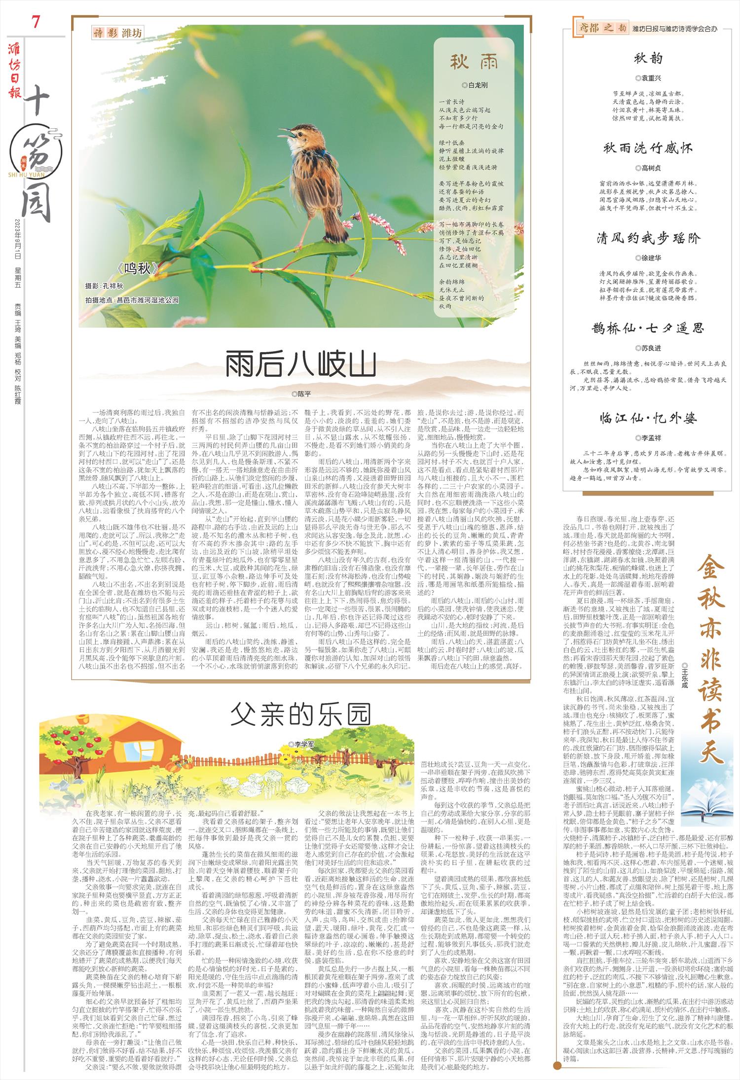 ****处理标记：[page]时， 字段 [] 在数据源中没有找到! ****