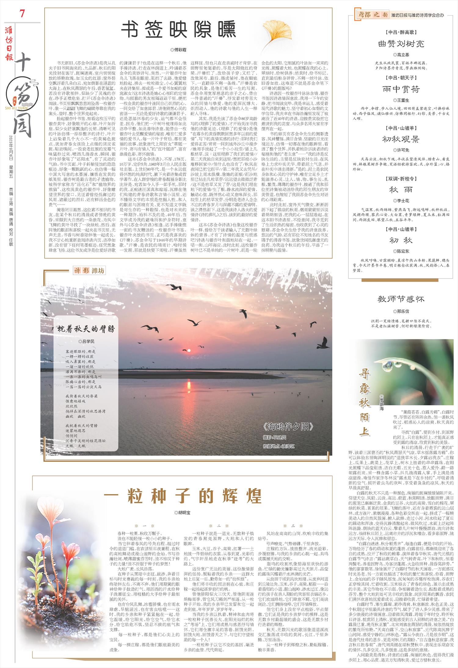 ****处理标记：[page]时， 字段 [] 在数据源中没有找到! ****