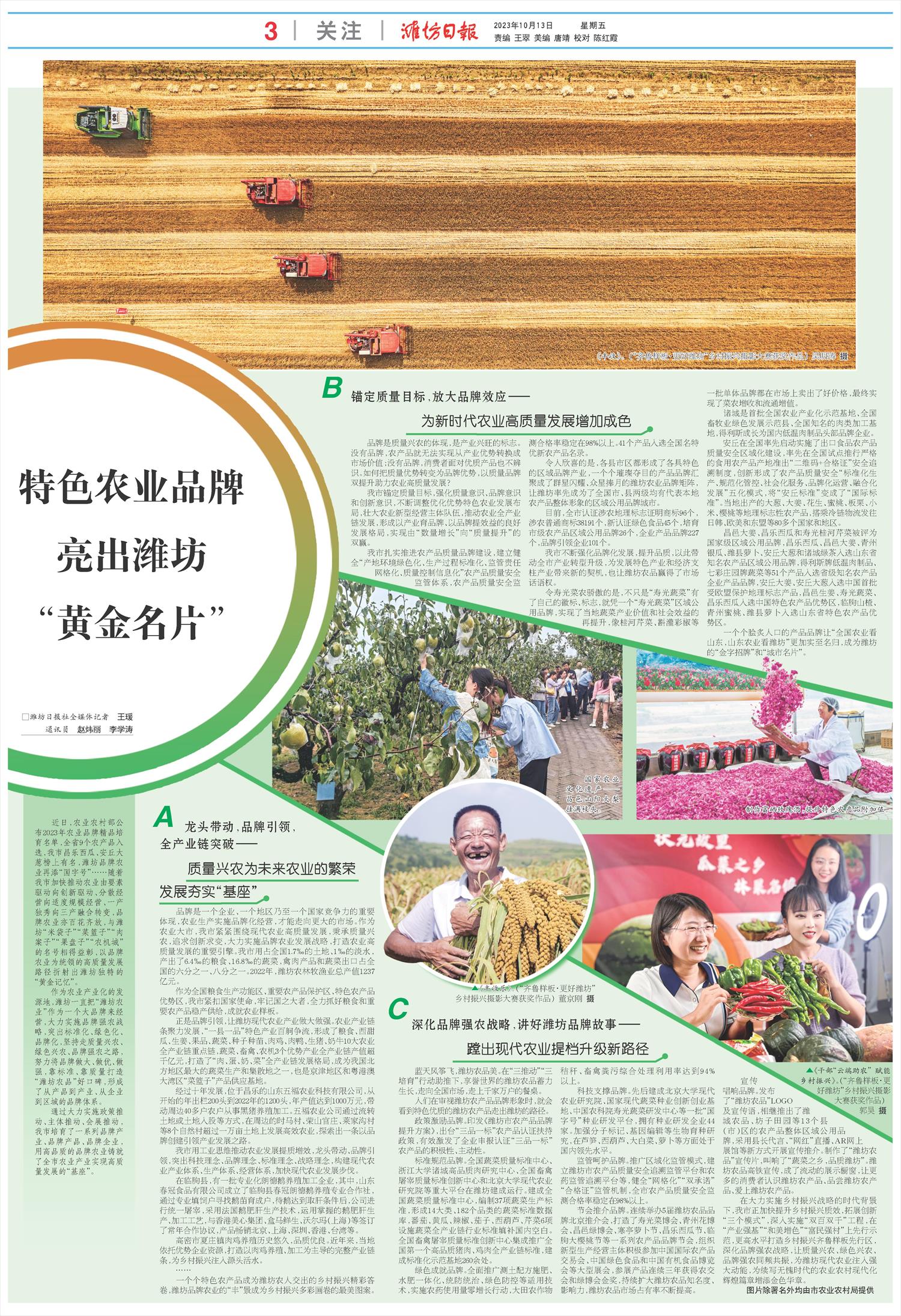 ****处理标记：[page]时， 字段 [] 在数据源中没有找到! ****