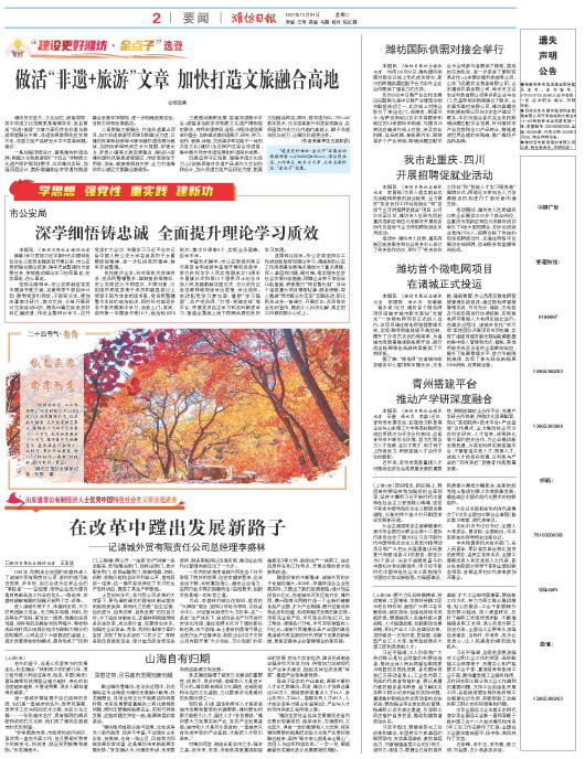 ****处理标记：[page]时， 字段 [] 在数据源中没有找到! ****