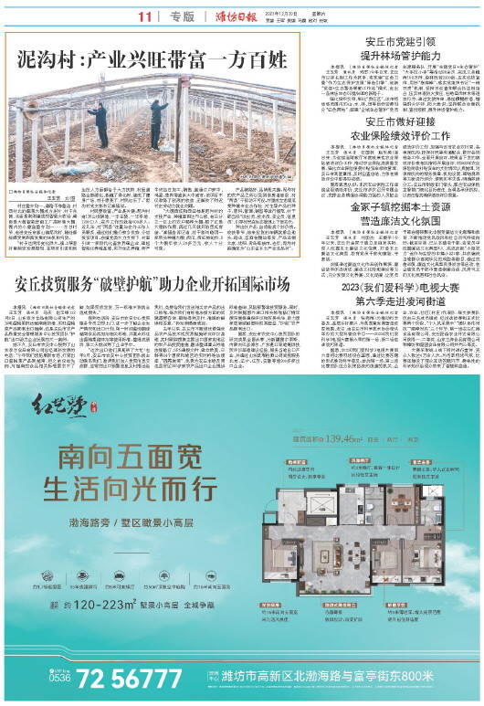 ****处理标记：[page]时， 字段 [] 在数据源中没有找到! ****