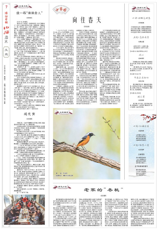 ****处理标记：[page]时， 字段 [] 在数据源中没有找到! ****