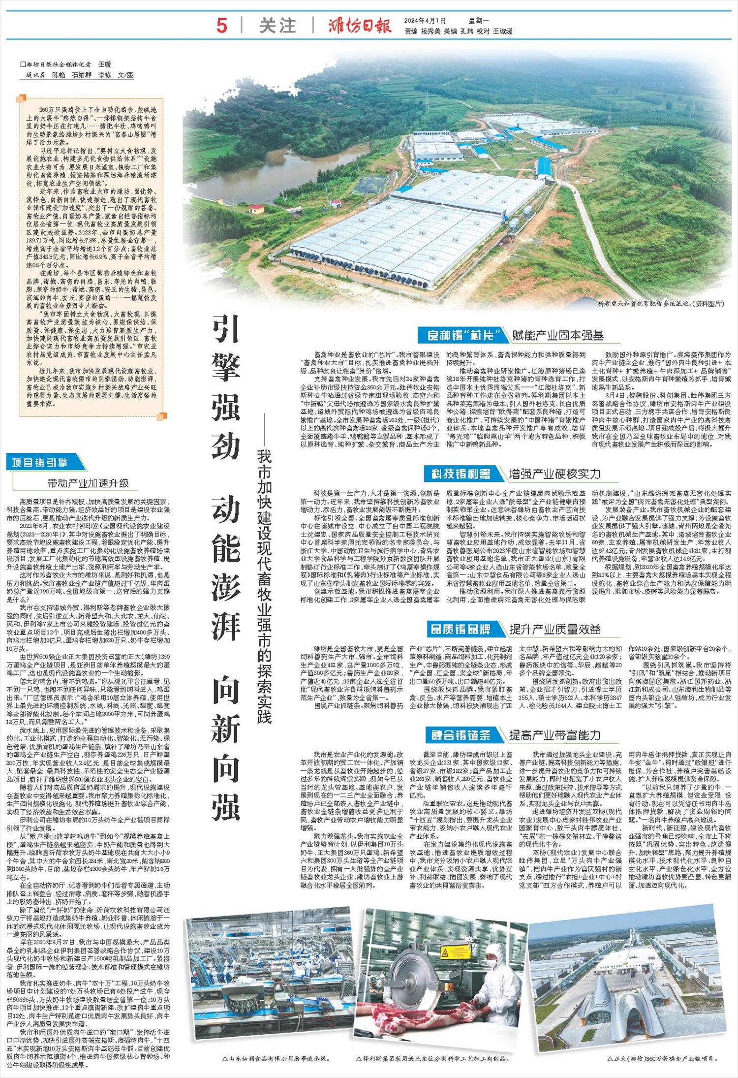 ****处理标记：[page]时， 字段 [] 在数据源中没有找到! ****