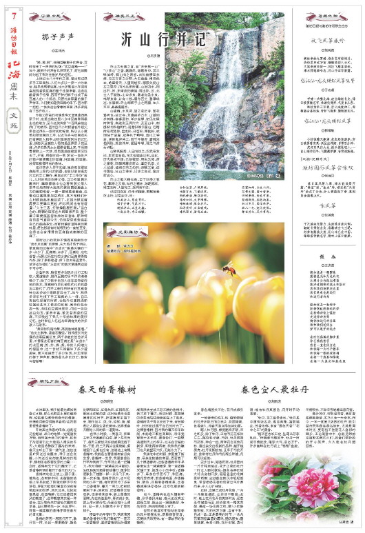 ****处理标记：[page]时， 字段 [] 在数据源中没有找到! ****