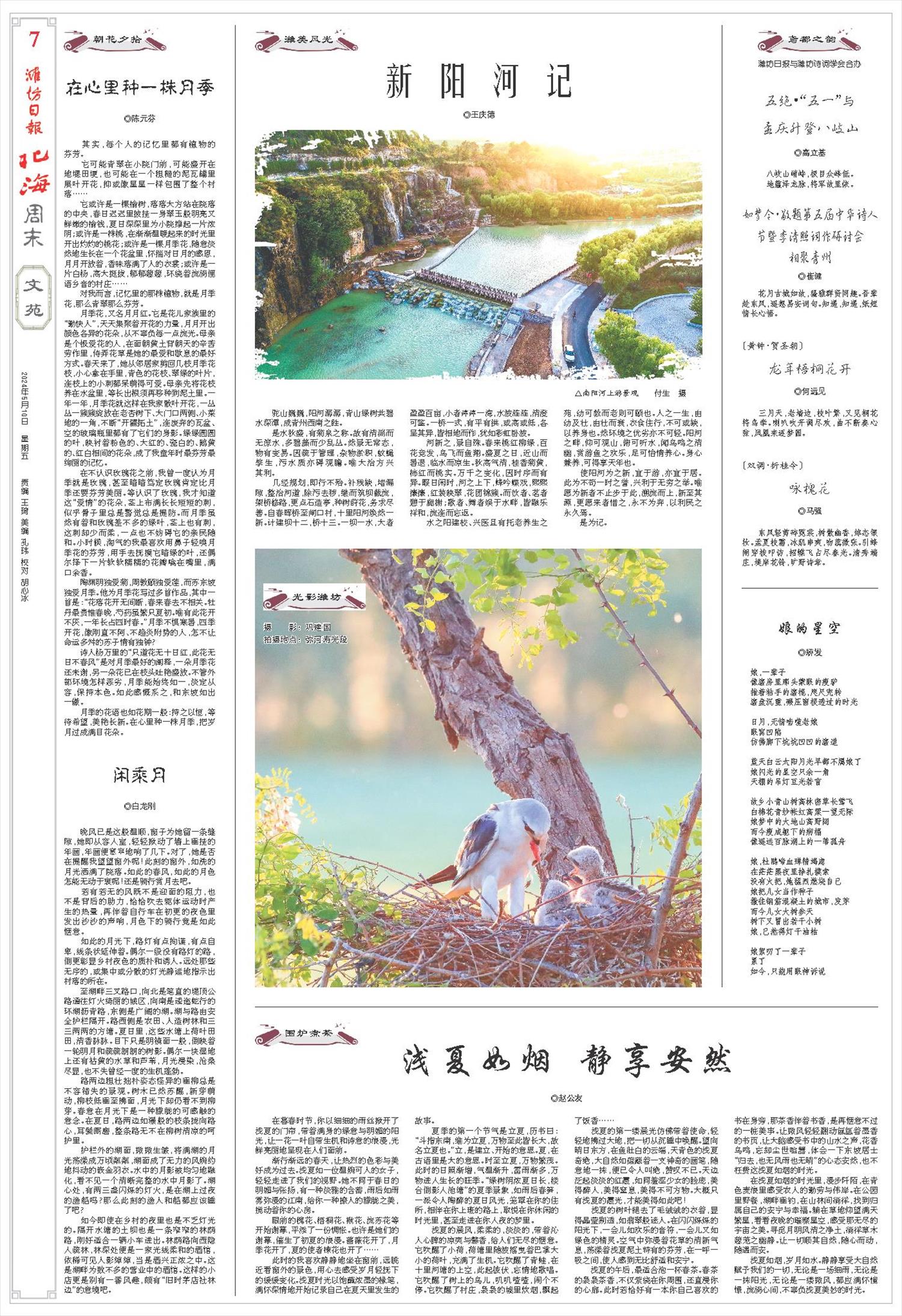 ****处理标记：[page]时， 字段 [] 在数据源中没有找到! ****