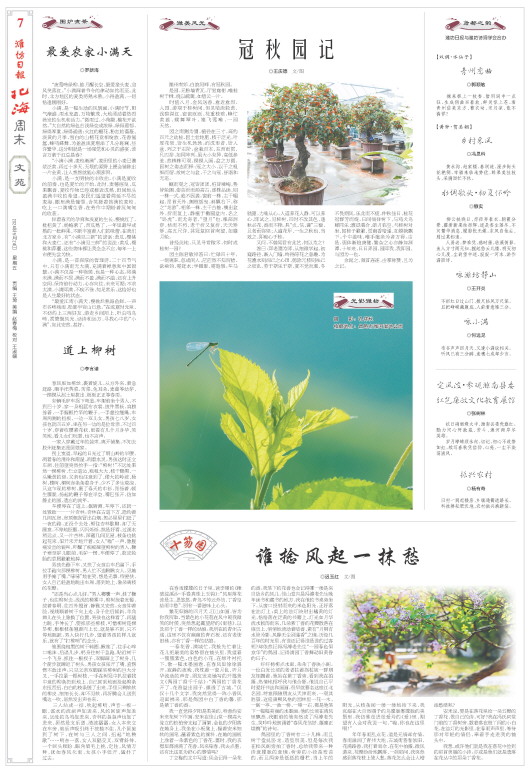 ****处理标记：[page]时， 字段 [] 在数据源中没有找到! ****