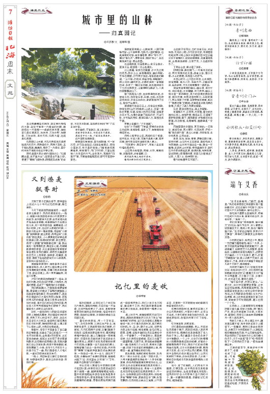 ****处理标记：[page]时， 字段 [] 在数据源中没有找到! ****