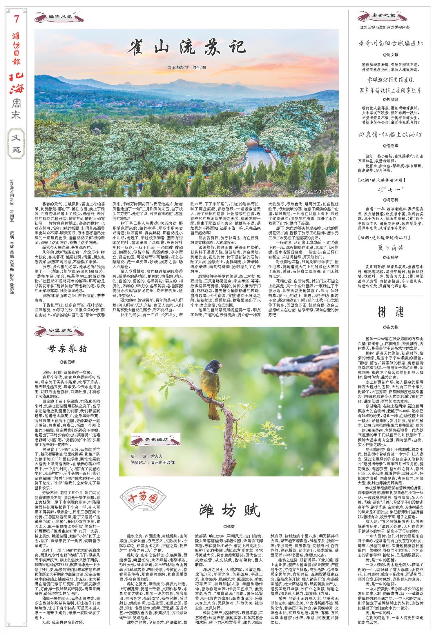 ****处理标记：[page]时， 字段 [] 在数据源中没有找到! ****