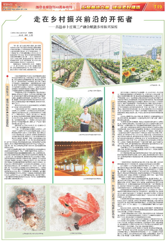 ****处理标记：[page]时， 字段 [] 在数据源中没有找到! ****