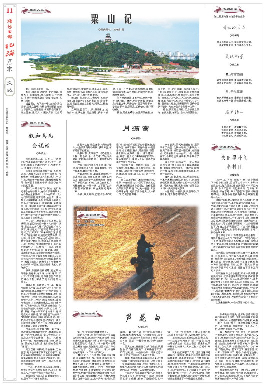 ****处理标记：[page]时， 字段 [] 在数据源中没有找到! ****