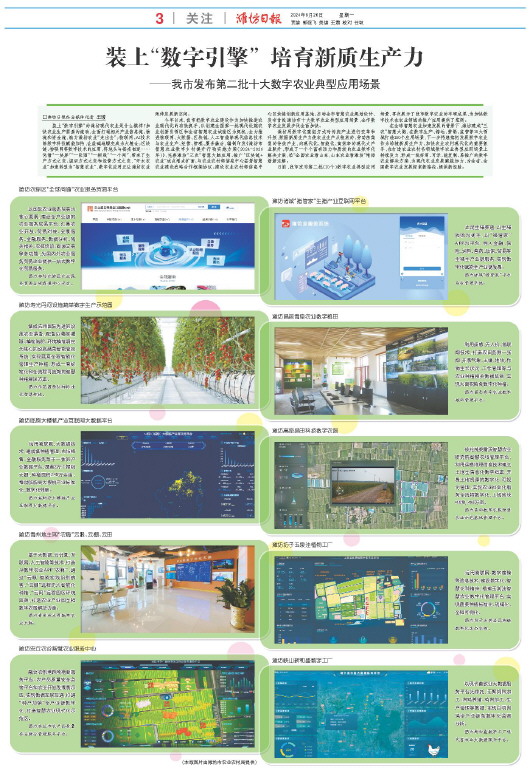 ****处理标记：[page]时， 字段 [] 在数据源中没有找到! ****