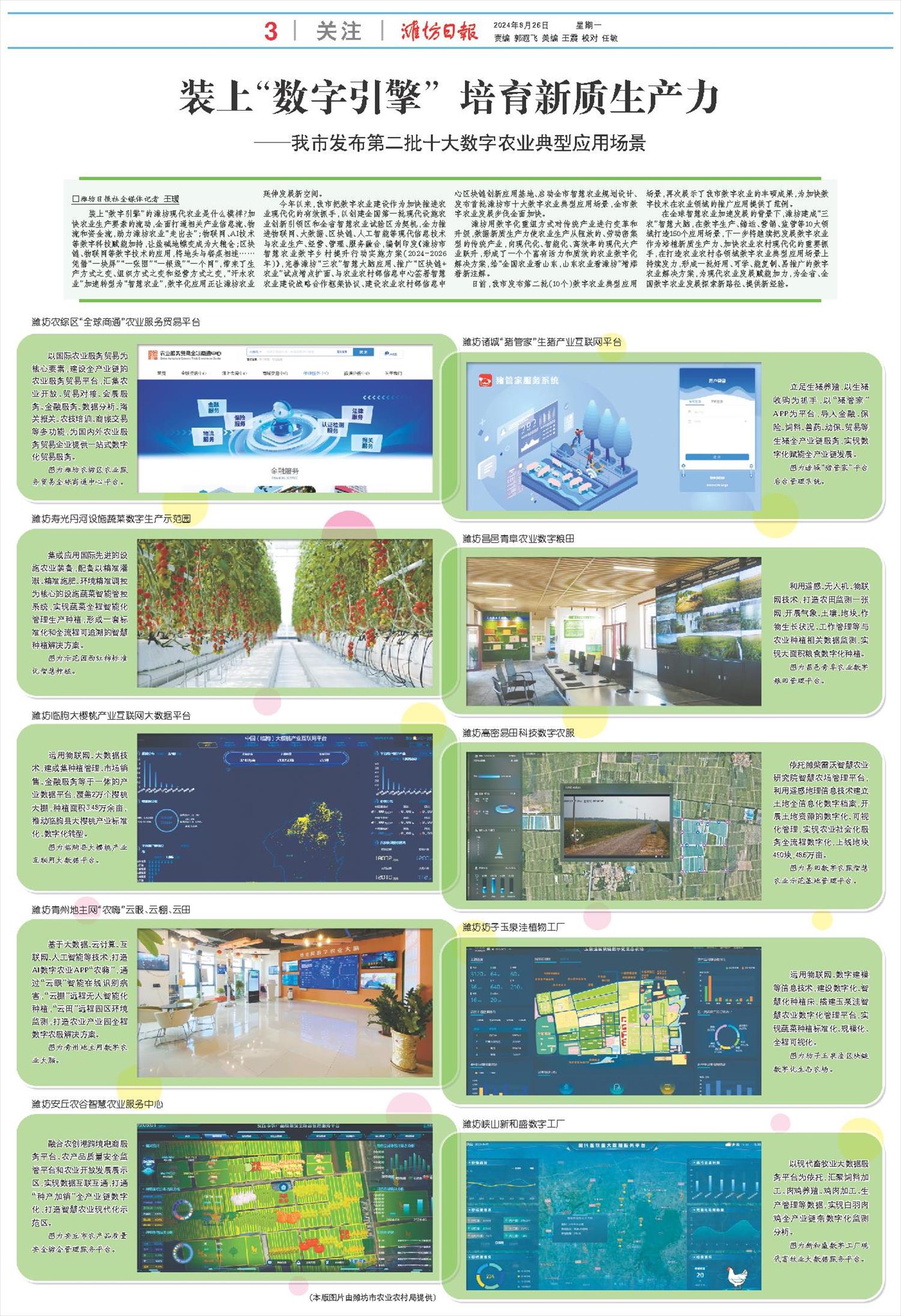 ****处理标记：[page]时， 字段 [] 在数据源中没有找到! ****