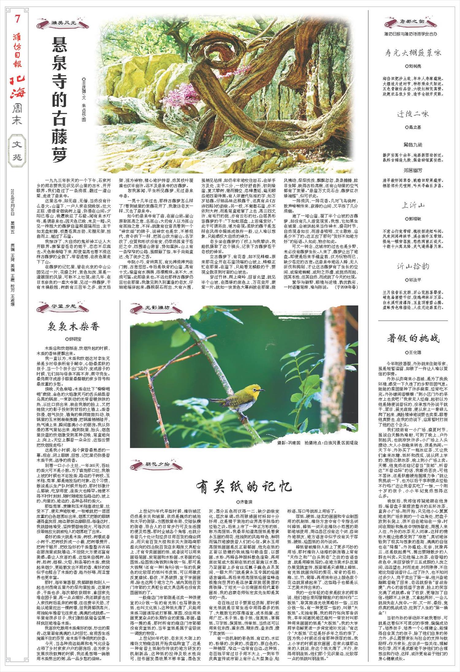 ****处理标记：[page]时， 字段 [] 在数据源中没有找到! ****