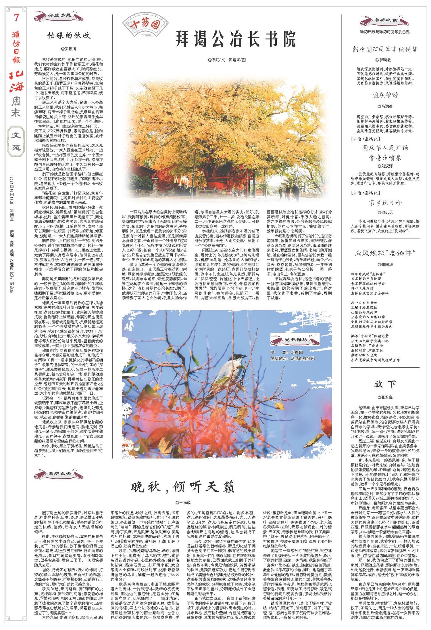 ****处理标记：[page]时， 字段 [] 在数据源中没有找到! ****