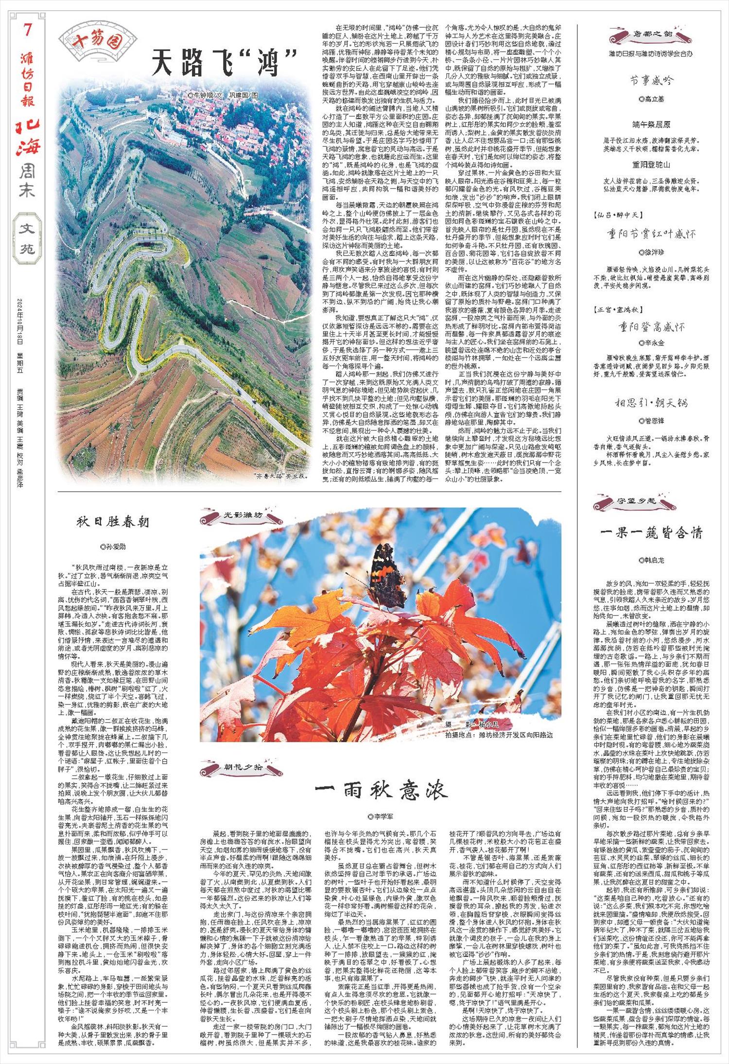 ****处理标记：[page]时， 字段 [] 在数据源中没有找到! ****