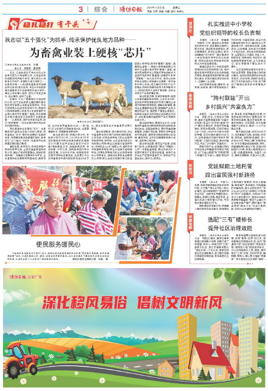 ****处理标记：[page]时， 字段 [] 在数据源中没有找到! ****