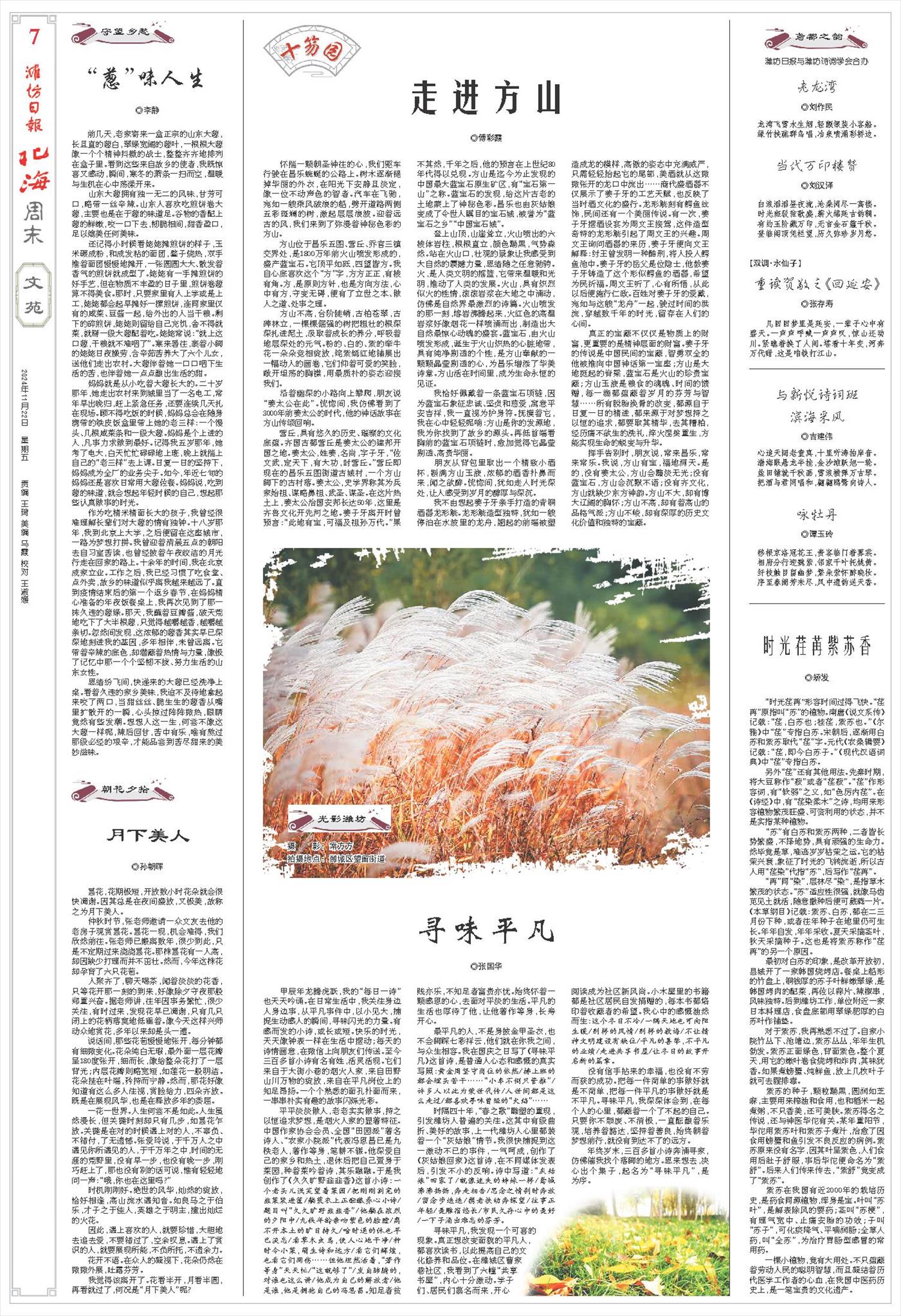 ****处理标记：[page]时， 字段 [] 在数据源中没有找到! ****