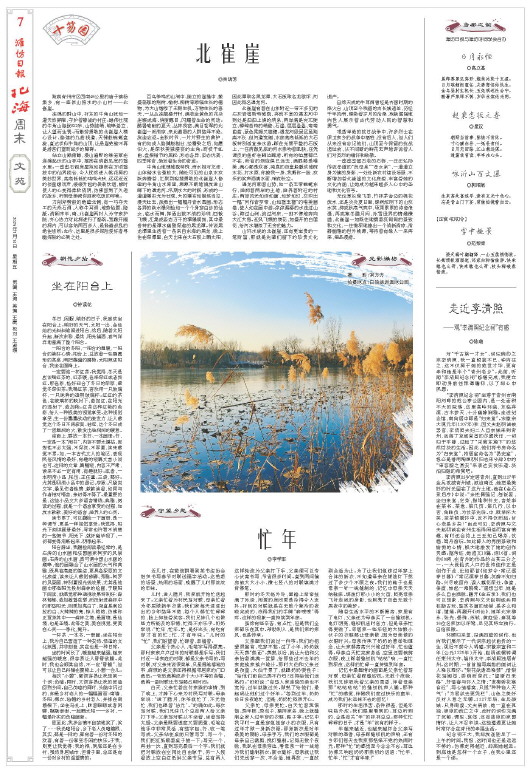 ****处理标记：[page]时， 字段 [] 在数据源中没有找到! ****