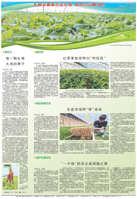 ****处理标记：[page]时， 字段 [] 在数据源中没有找到! ****