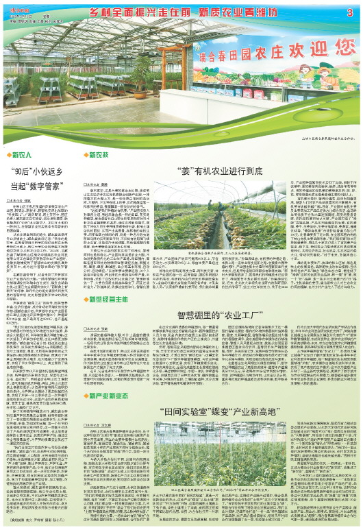 ****处理标记：[page]时， 字段 [] 在数据源中没有找到! ****