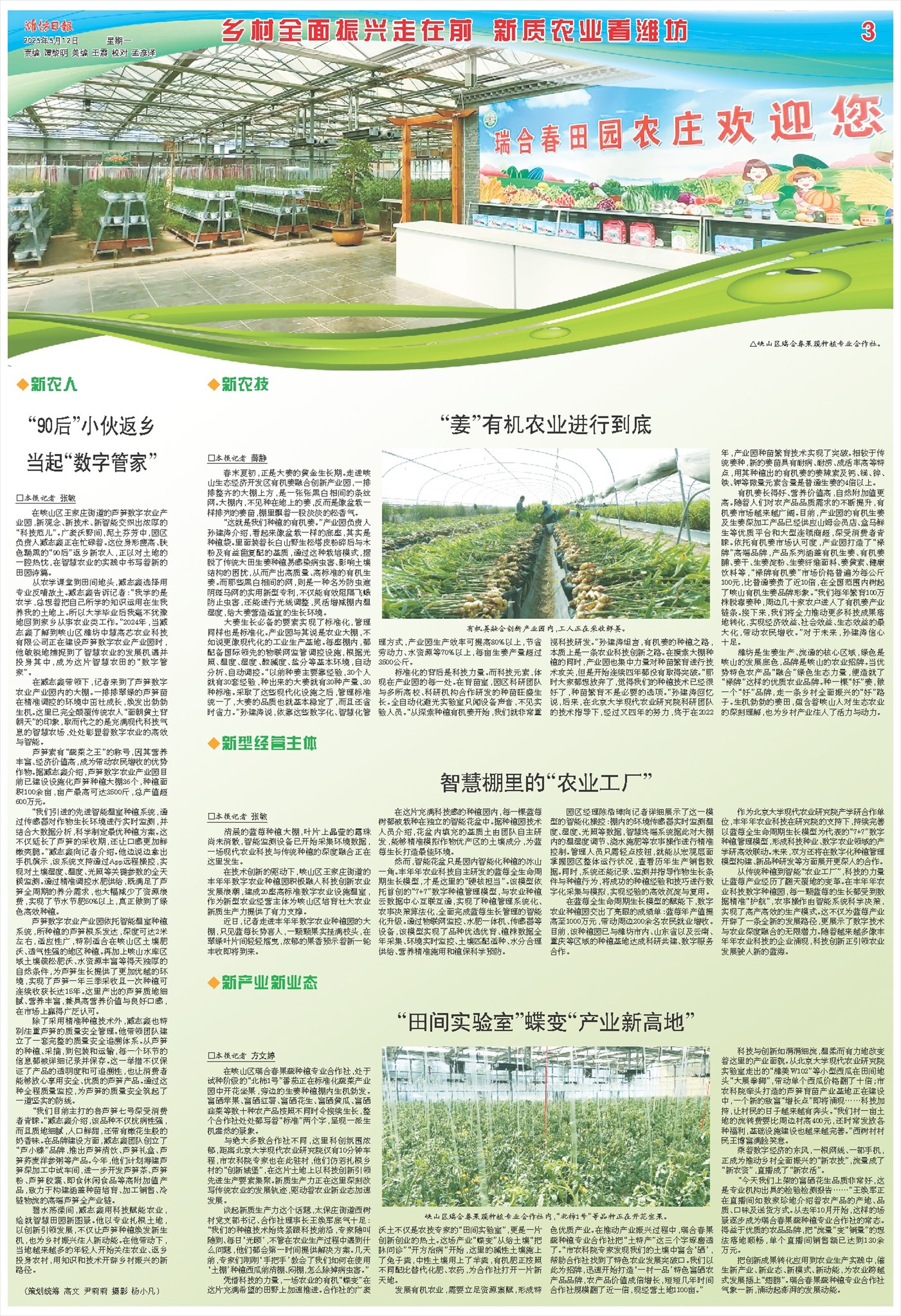 ****处理标记：[page]时， 字段 [] 在数据源中没有找到! ****