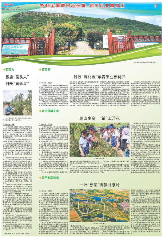 ****处理标记：[page]时， 字段 [] 在数据源中没有找到! ****