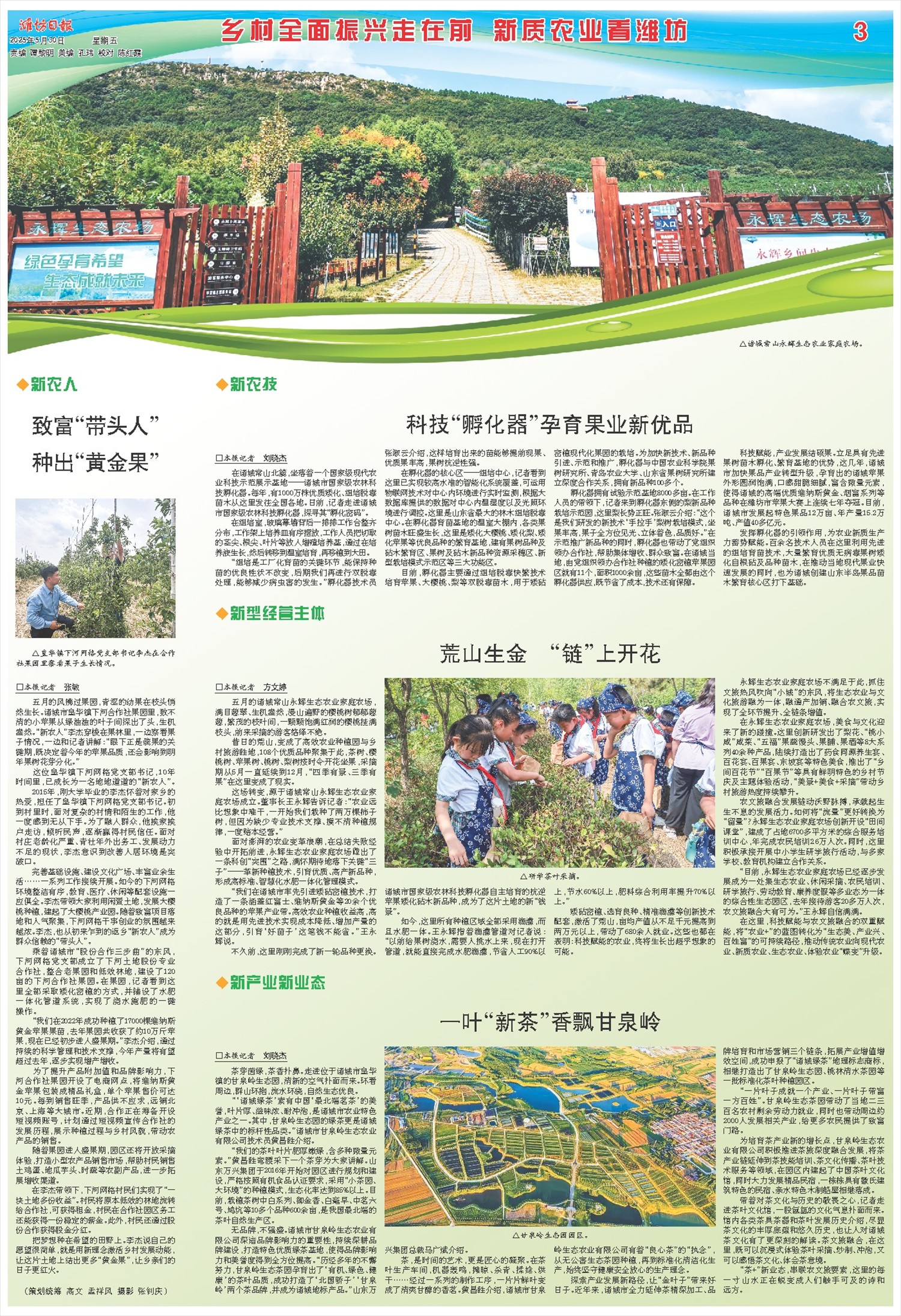 ****处理标记：[page]时， 字段 [] 在数据源中没有找到! ****