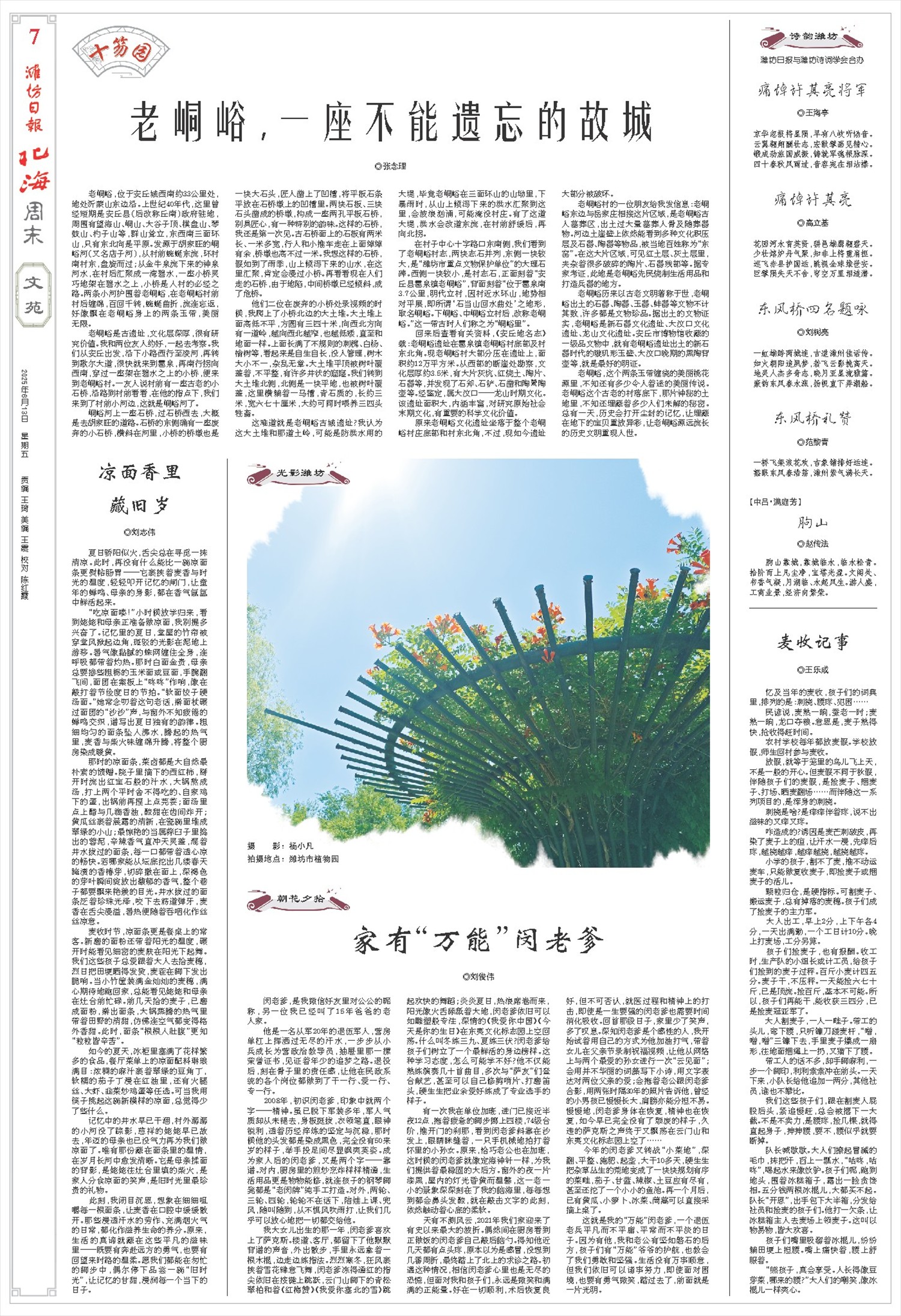 ****处理标记：[page]时， 字段 [] 在数据源中没有找到! ****