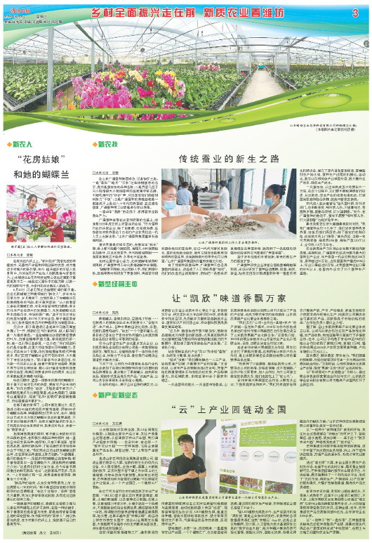 ****处理标记：[page]时， 字段 [] 在数据源中没有找到! ****
