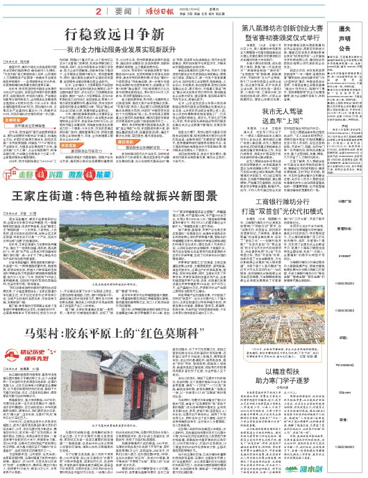 ****处理标记：[page]时， 字段 [] 在数据源中没有找到! ****