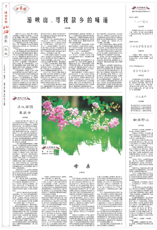 ****处理标记：[page]时， 字段 [] 在数据源中没有找到! ****
