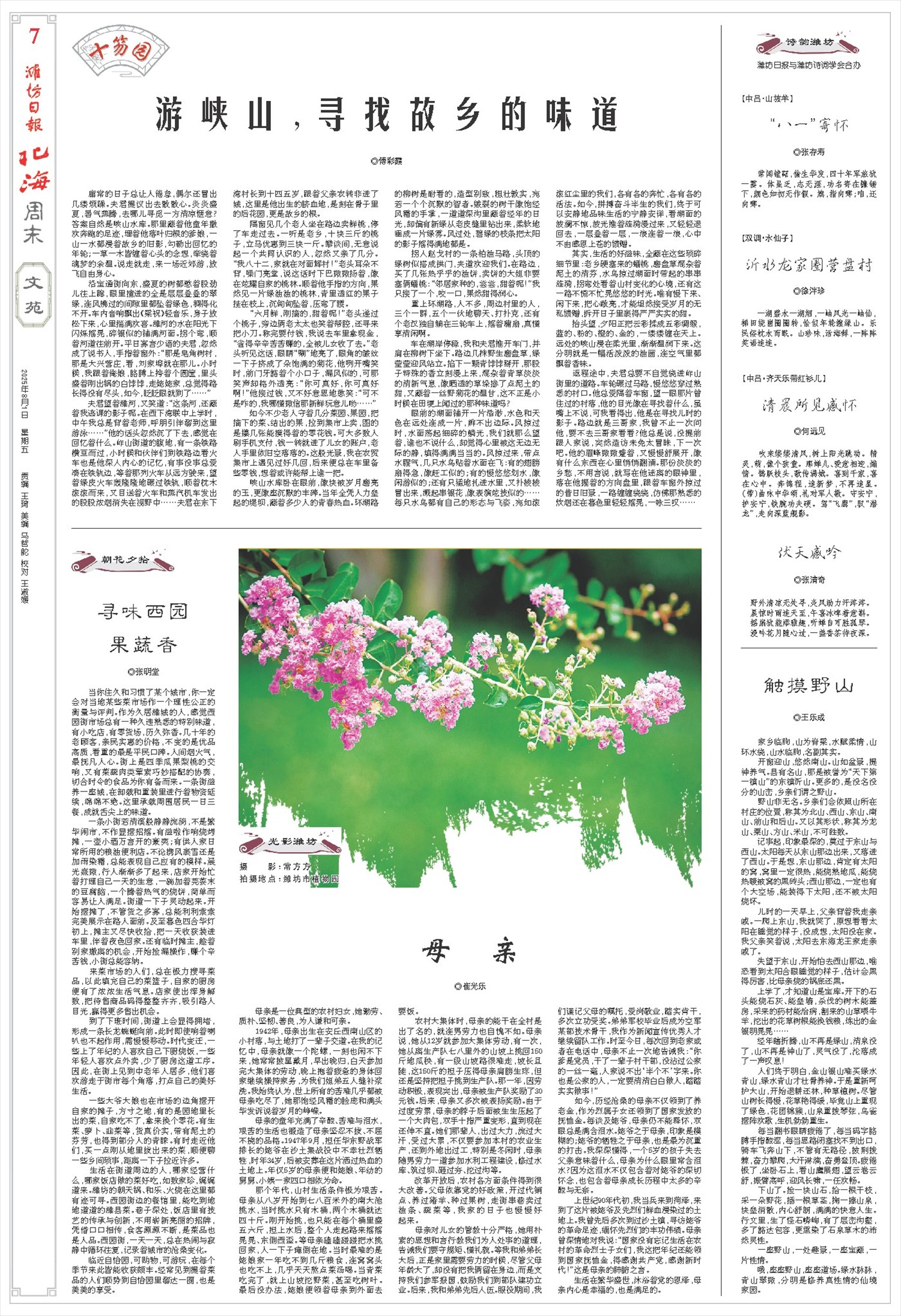 ****处理标记：[page]时， 字段 [] 在数据源中没有找到! ****