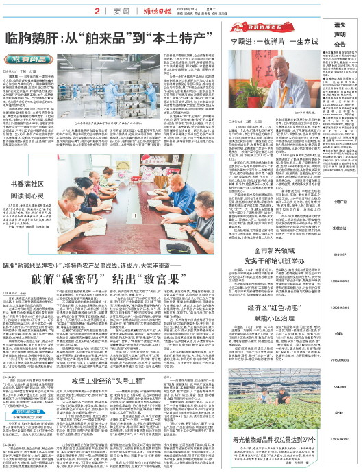 ****处理标记：[page]时， 字段 [] 在数据源中没有找到! ****