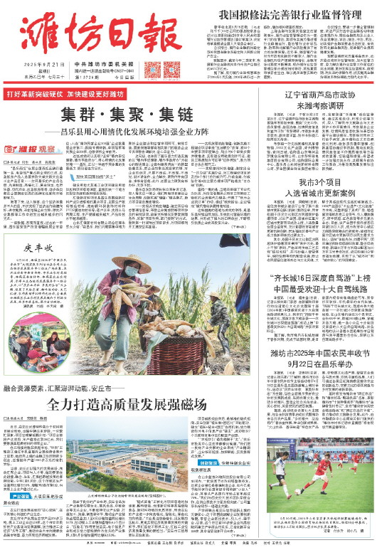 ****处理标记：[page]时， 字段 [] 在数据源中没有找到! ****