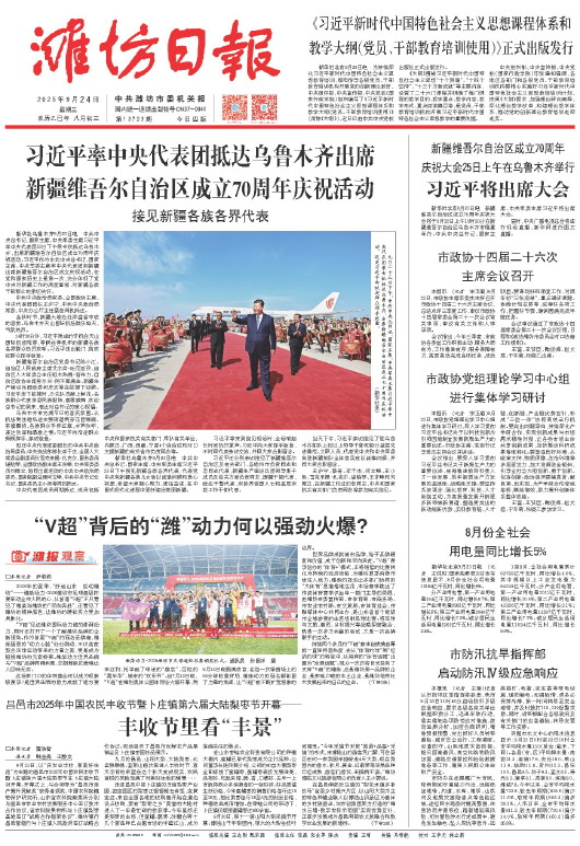 ****处理标记：[page]时， 字段 [] 在数据源中没有找到! ****