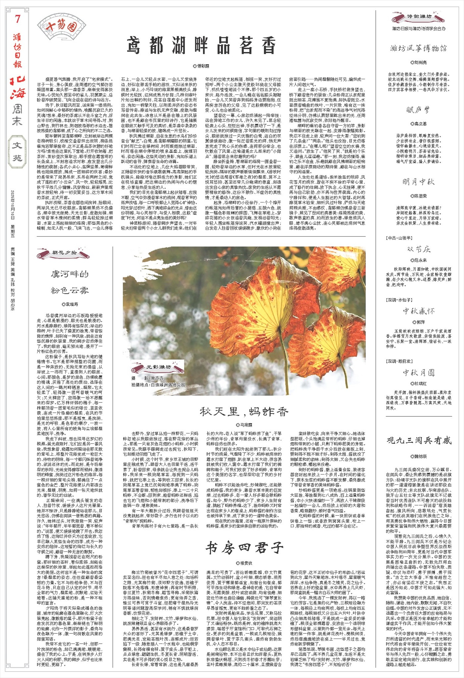 ****处理标记：[page]时， 字段 [] 在数据源中没有找到! ****