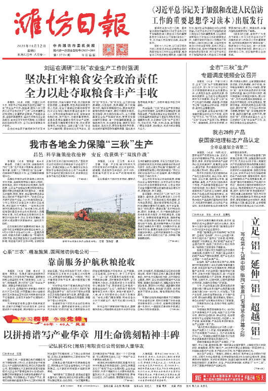 ****处理标记：[page]时， 字段 [] 在数据源中没有找到! ****