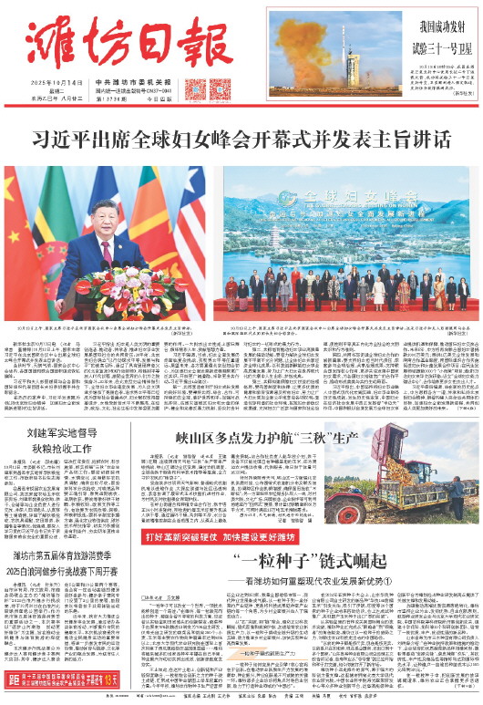 ****处理标记：[page]时， 字段 [] 在数据源中没有找到! ****