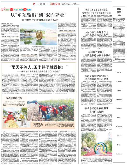 ****处理标记：[page]时， 字段 [] 在数据源中没有找到! ****