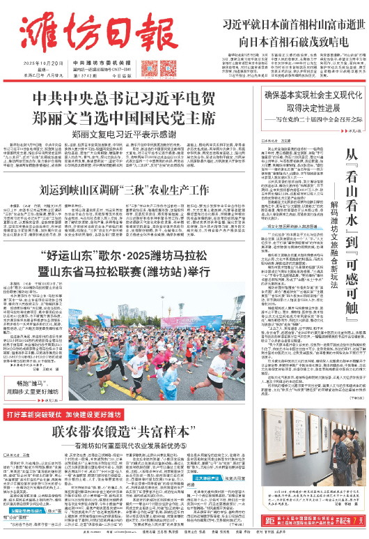 ****处理标记：[page]时， 字段 [] 在数据源中没有找到! ****