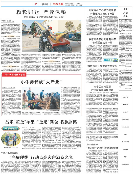 ****处理标记：[page]时， 字段 [] 在数据源中没有找到! ****