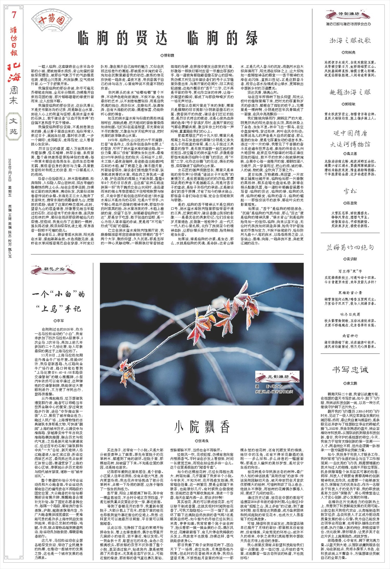 ****处理标记：[page]时， 字段 [] 在数据源中没有找到! ****