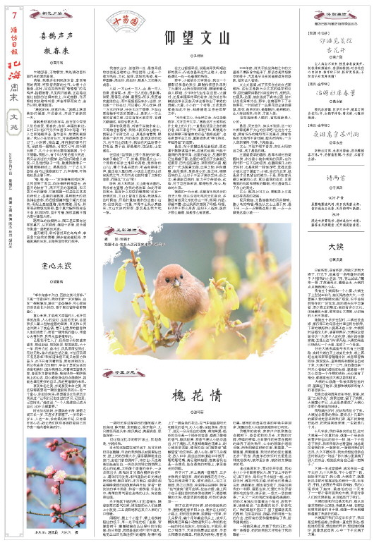 ****处理标记：[page]时， 字段 [] 在数据源中没有找到! ****