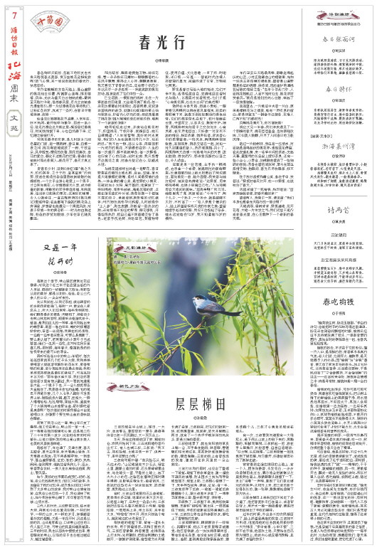 ****处理标记：[page]时， 字段 [] 在数据源中没有找到! ****