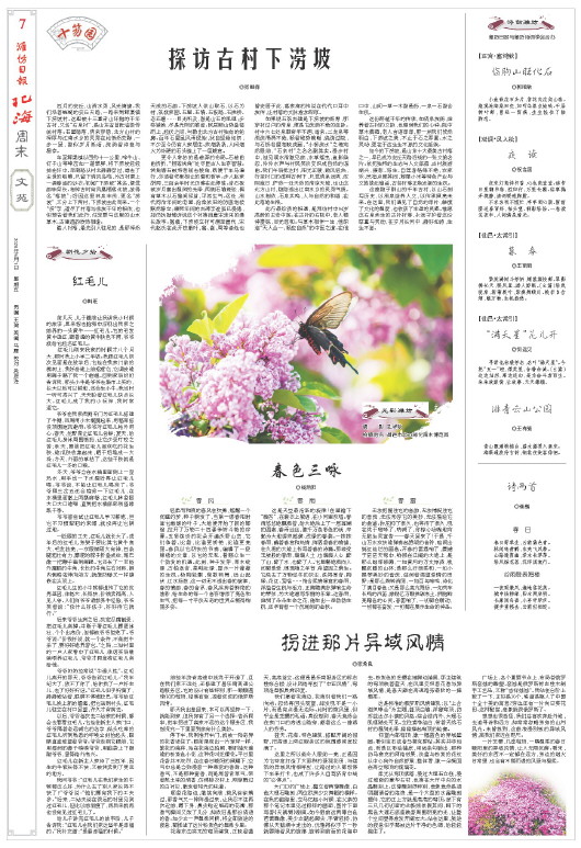 ****处理标记：[page]时， 字段 [] 在数据源中没有找到! ****