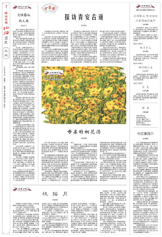 ****处理标记：[page]时， 字段 [] 在数据源中没有找到! ****